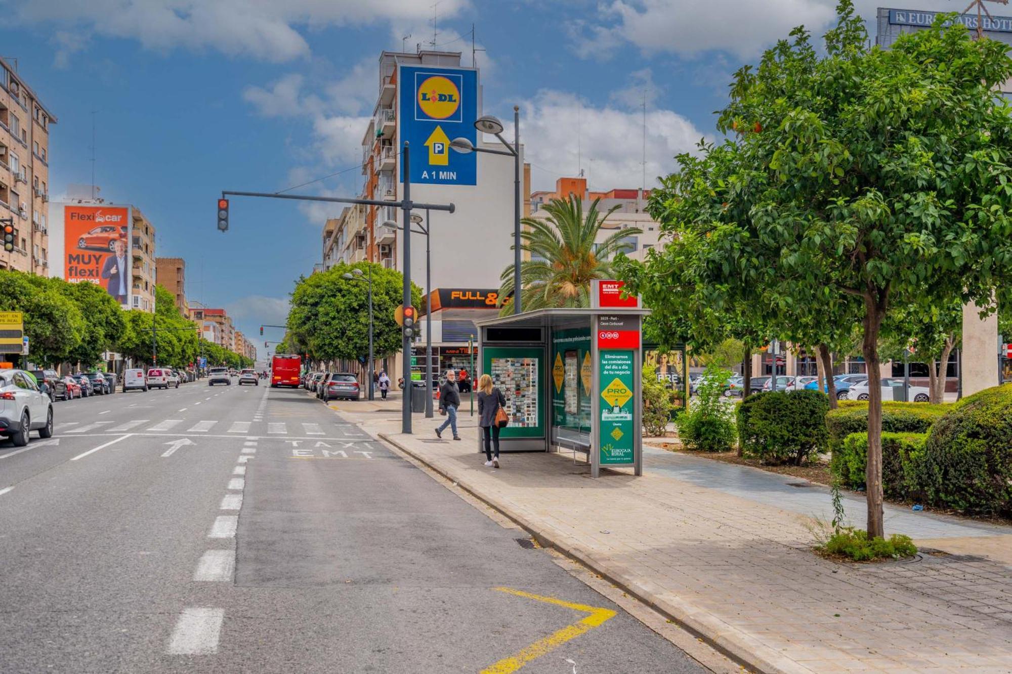 Mediterraneum D * València